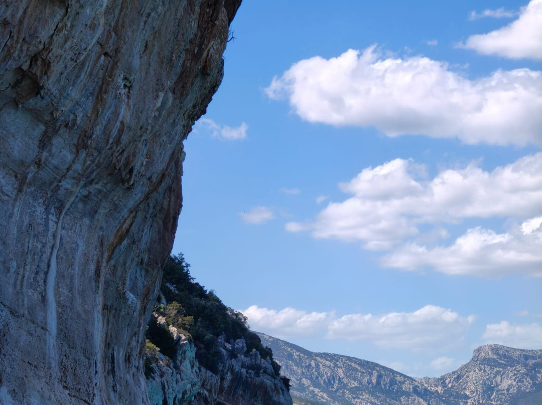 Blue Driving - Noleggio Gommoni ed escursioni nel Golfo di Orosei-奥罗塞必去景点