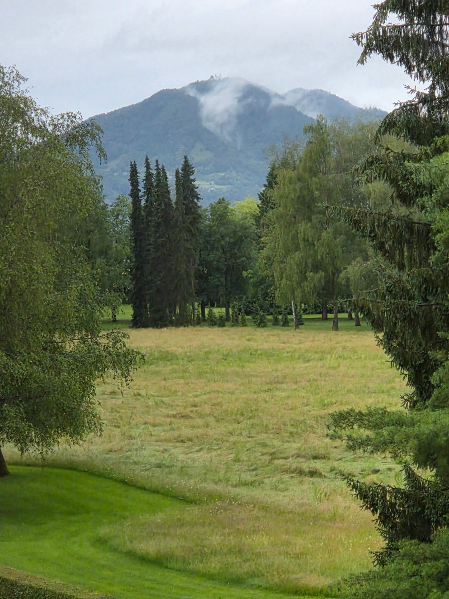 Elegans Hotel Brdo-旅行者