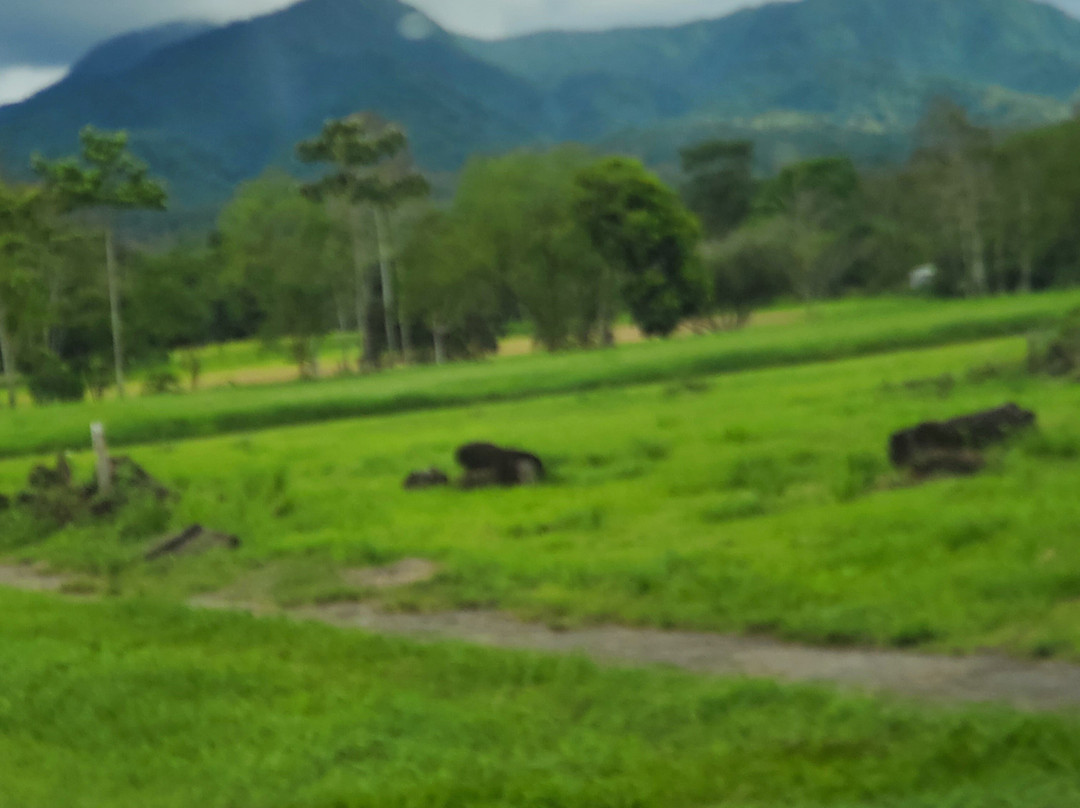 Top Travel Costa Rica-圣何塞必去景点