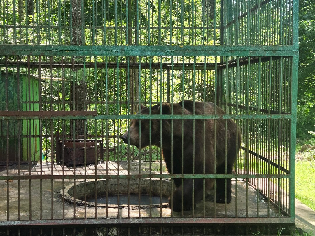 Orlovskoye Polesye National Park-Zhuderskiy必去景点
