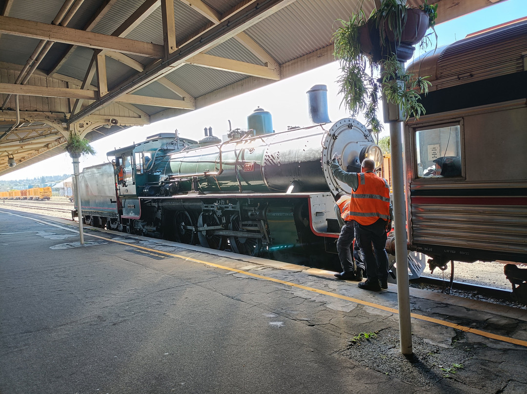 Downssteam Tourist Railway & Museum-图沃柏必去景点