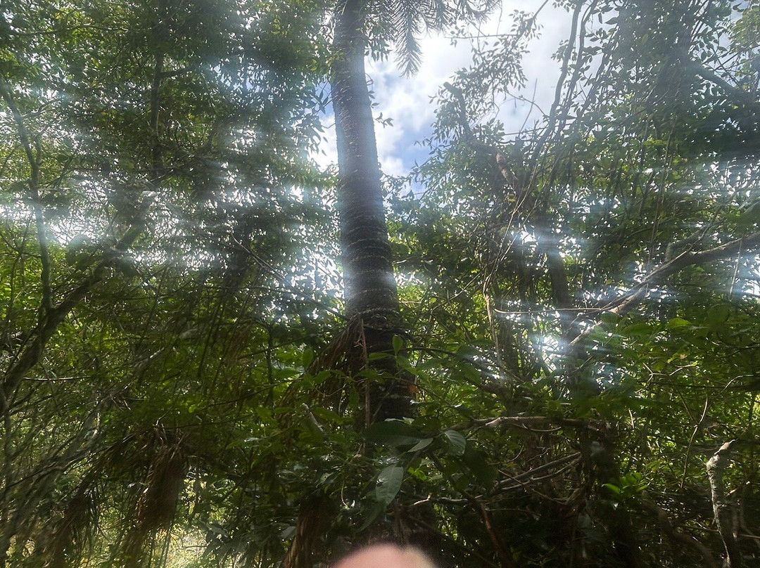 Airlie Beach Tourism-艾尔利滩必去景点