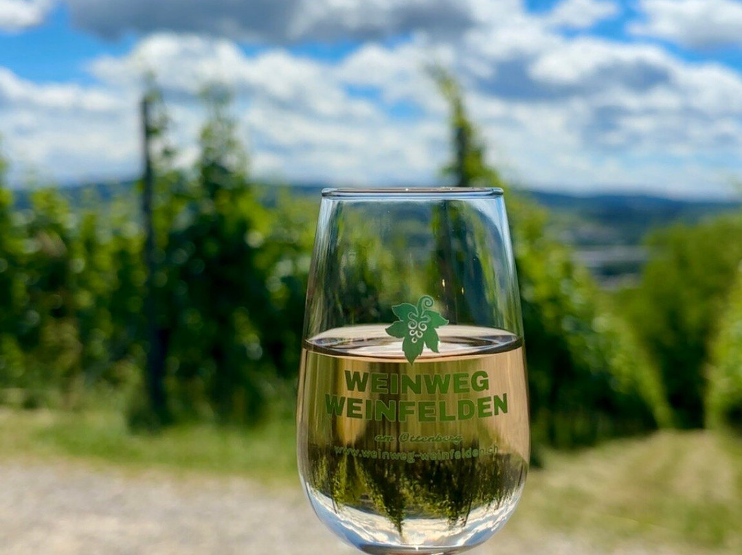 Wein-Wanderweg Weinfelden-Weinfelden必去景点