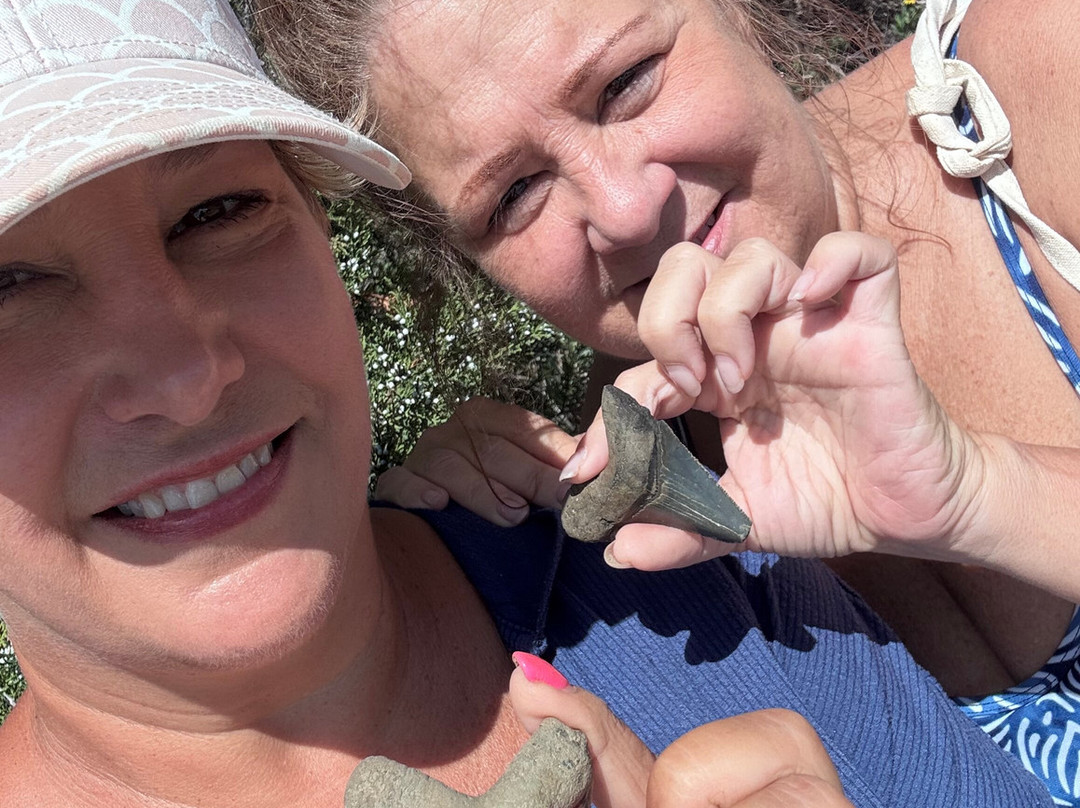 Charleston Fossil Adventures-查尔斯顿必去景点