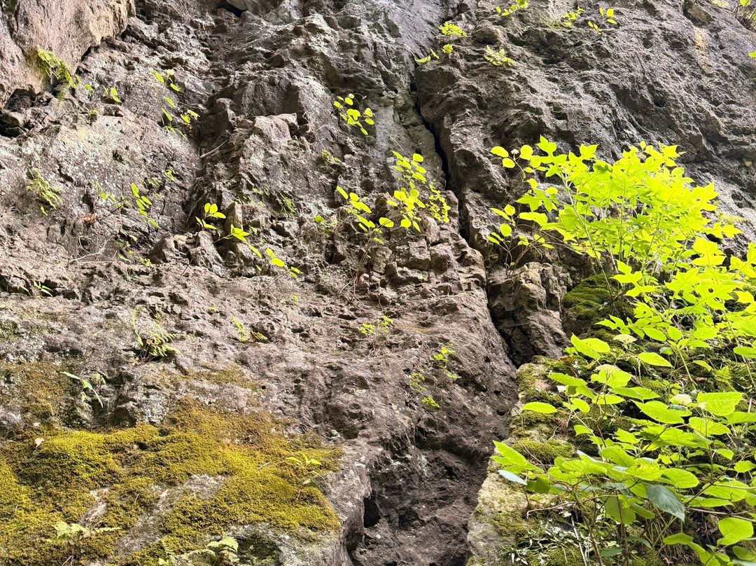 The Highlands Nature Sanctuary-Bainbridge - Ross County必去景点