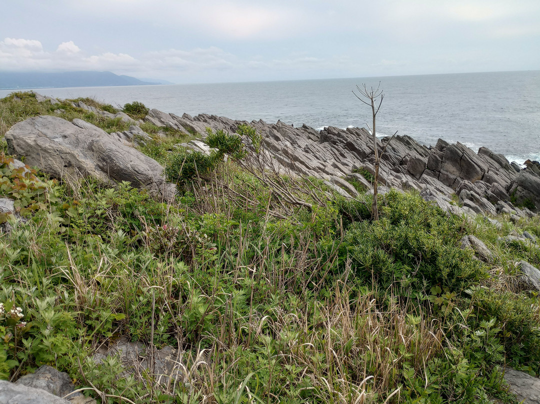 Oshima Island-坂井市必去景点