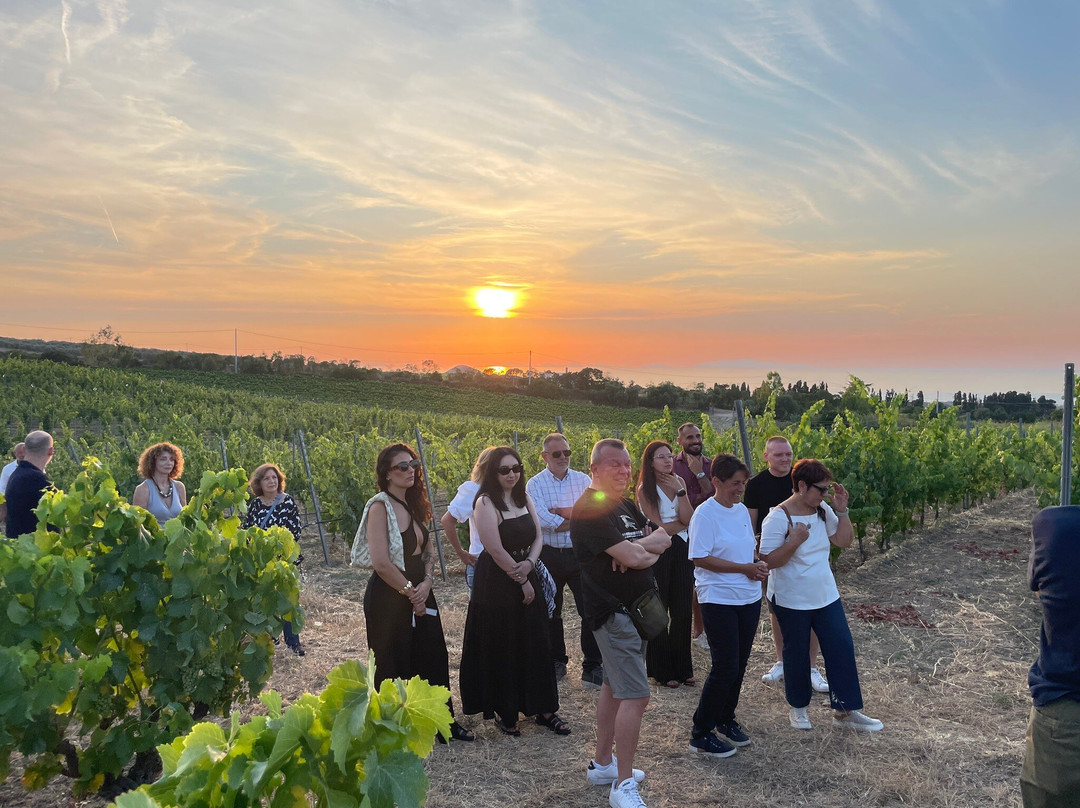 Azienda Vitivinicola MODE-Sennori必去景点