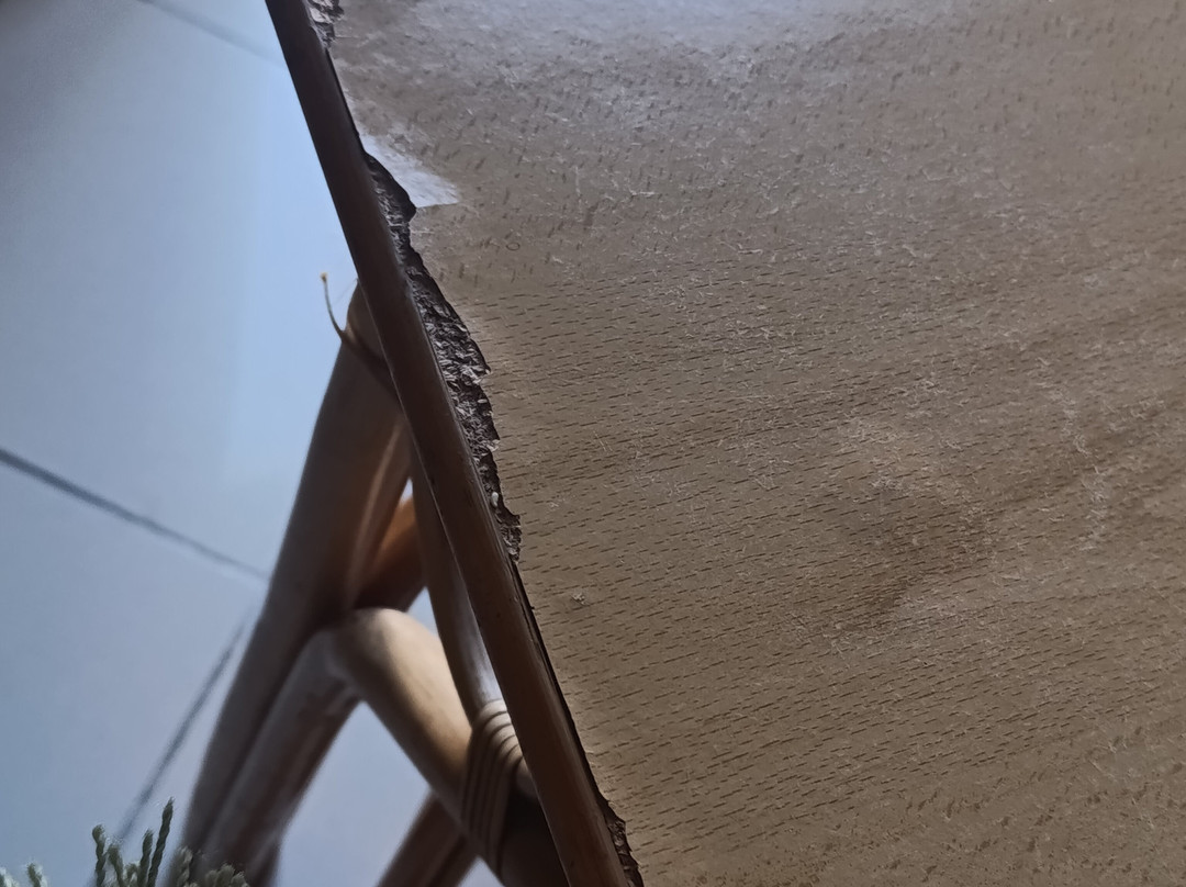 Duna Parque Beach Club | Duna Parque Resorts & Hotels主图