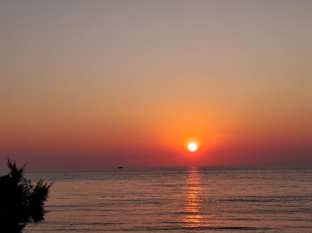 Taverna To Votsalo, Eftalou