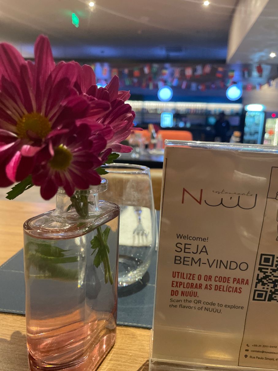 诺富特 BH 萨瓦西酒店-旅行者