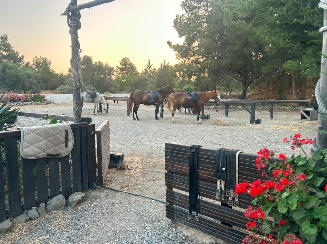Rocking Horse Ranch-Gennadi必去景点