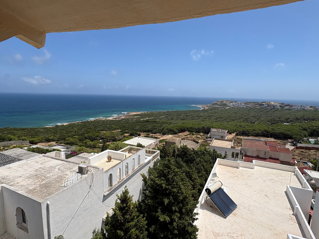 Cap Blanc Guest House "Arts & Culture Events"主图