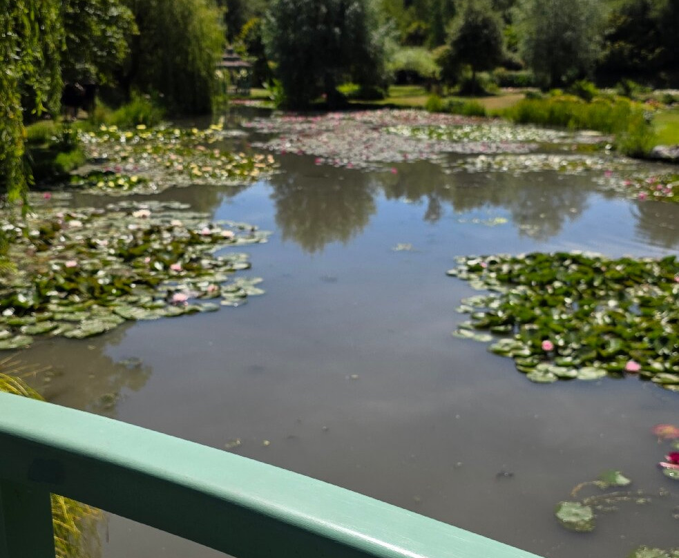 Bennetts Water Gardens-Chickerell必去景点