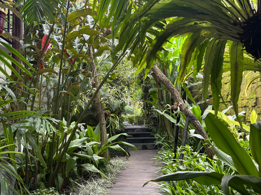 La Reserve 1785 Canggu Beach - Adults Only主图
