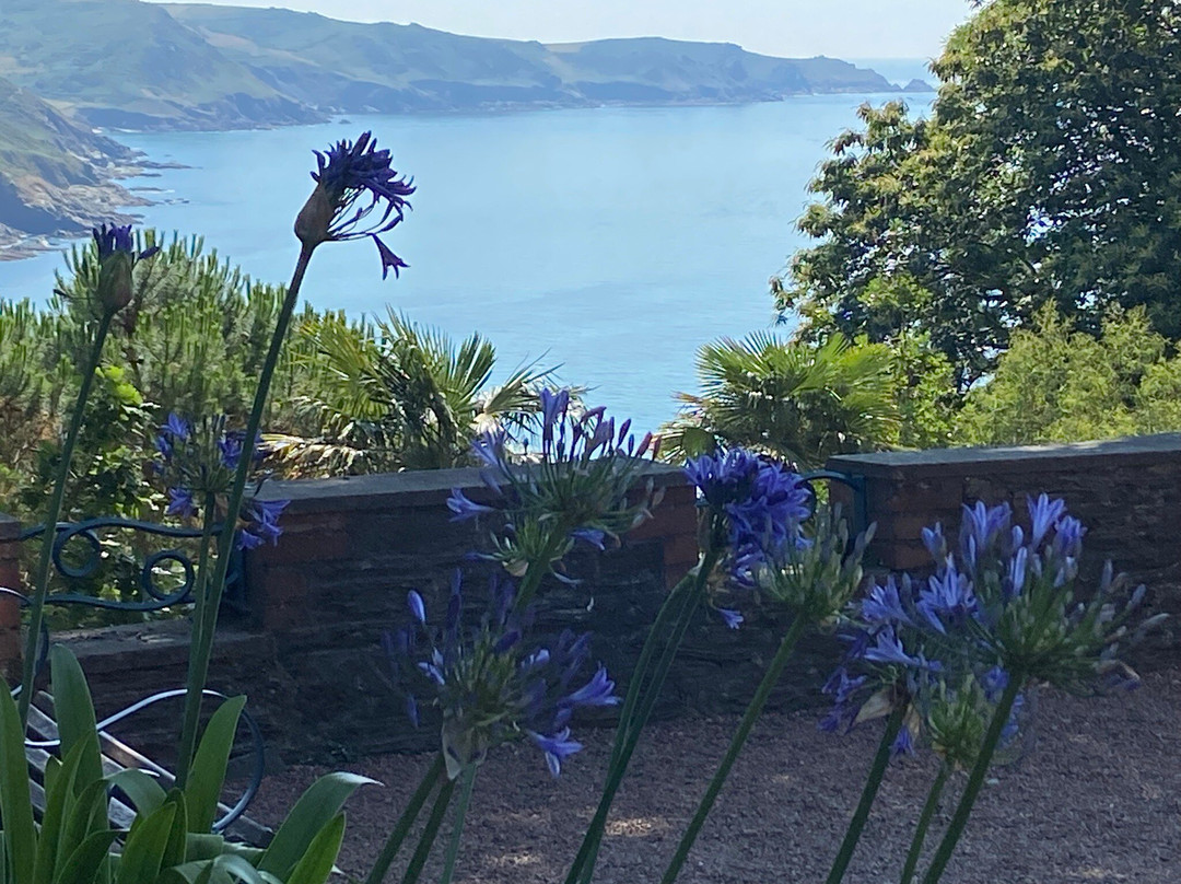 Overbecks Garden-Salcombe必去景点