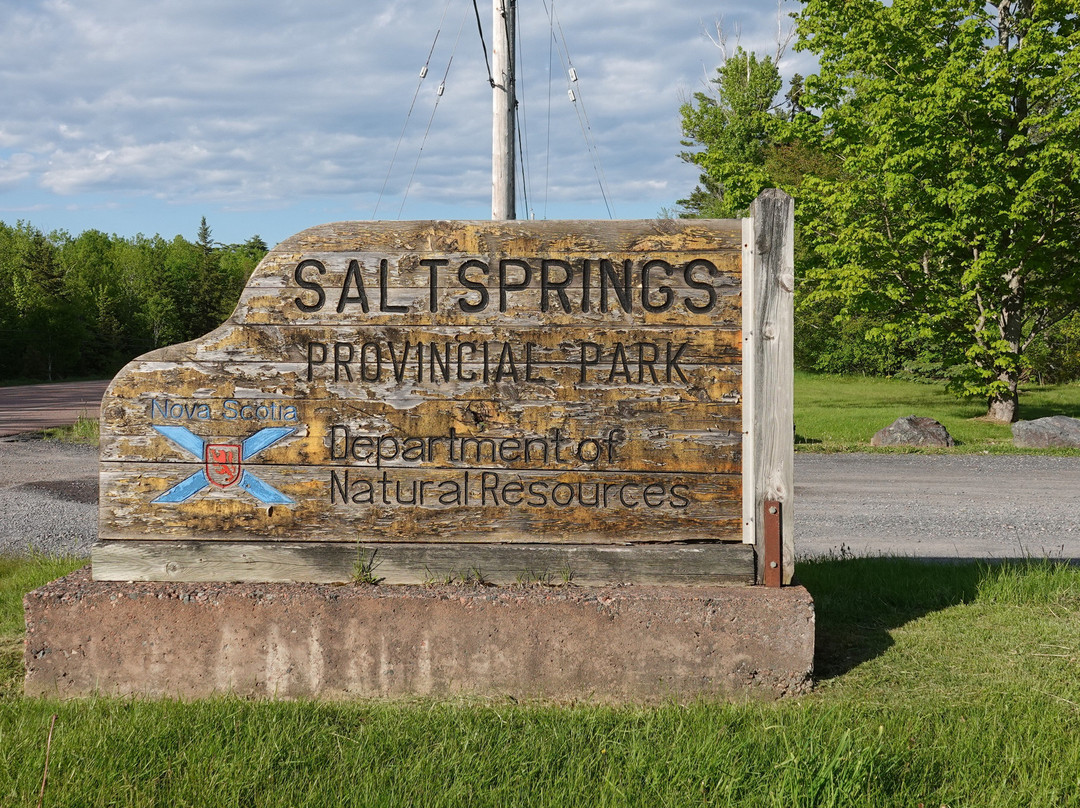 Salt Springs Provincial Park-Pictou必去景点