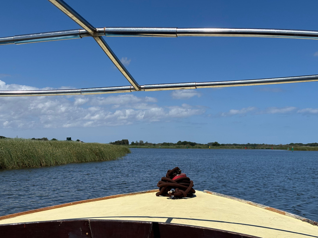 Ross' Wildlife Boat Trips-Mustard Hyrn必去景点