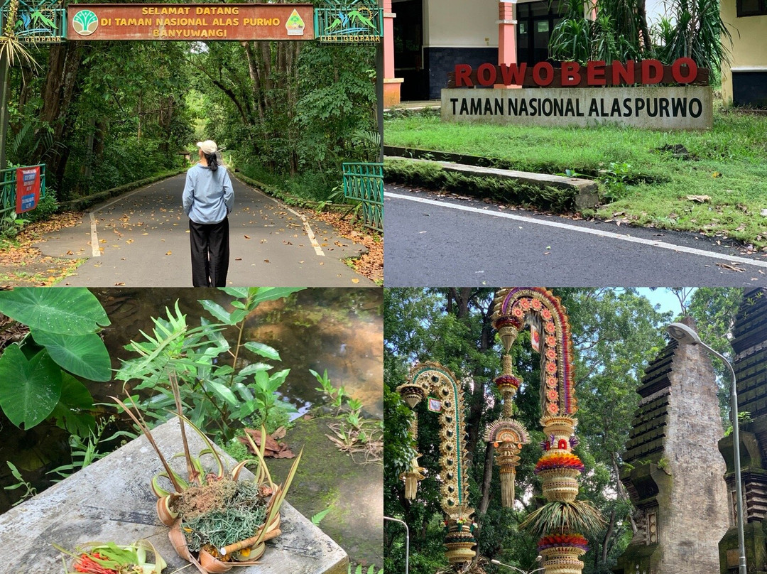 Alas Purwo National Park-巴纽旺宣必去景点