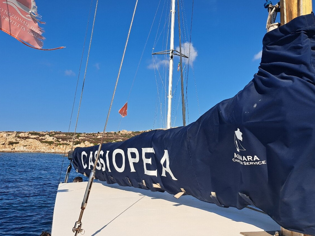 Asinara Charter Service-斯廷蒂诺必去景点