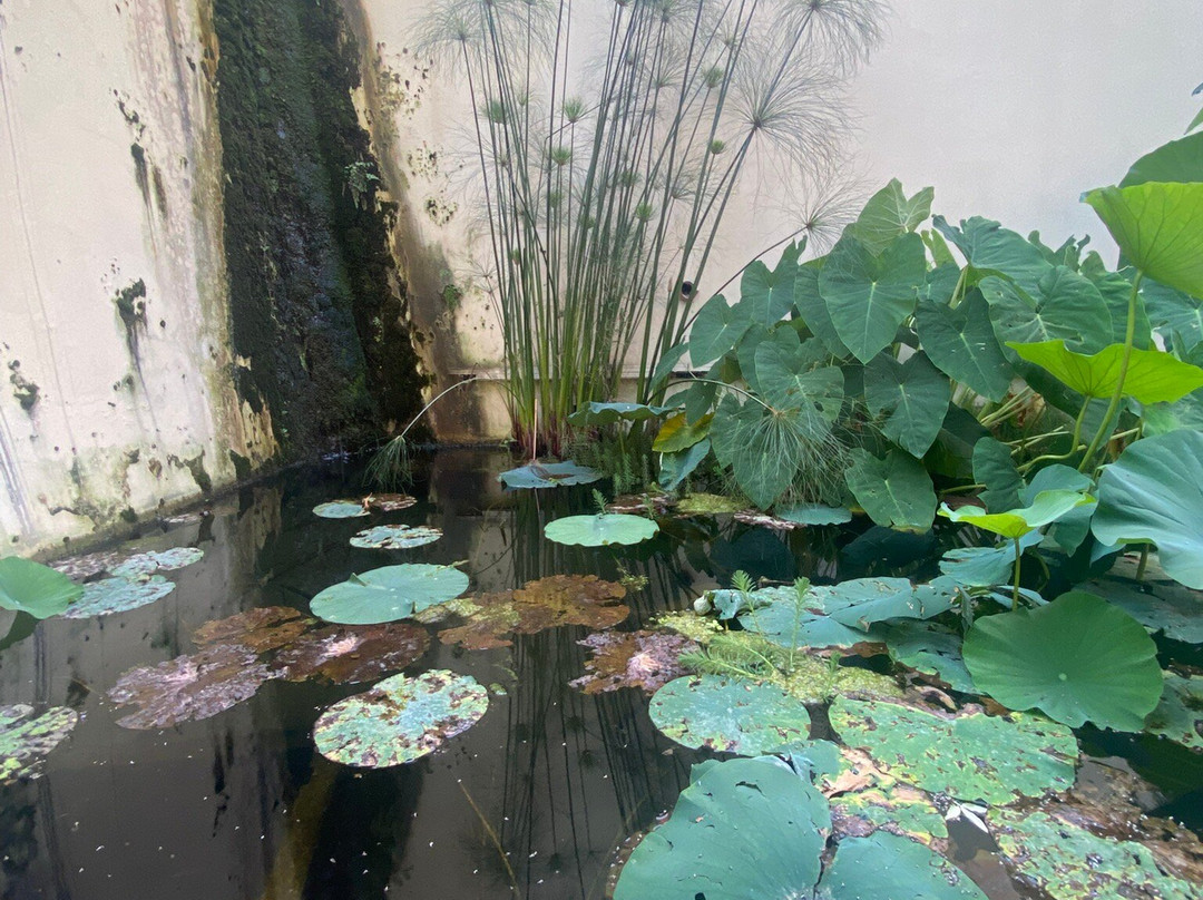 Giardino della Minerva-萨勒诺必去景点
