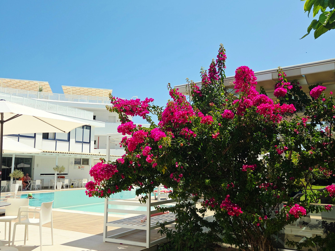 Nasos Hotel & Resort主图