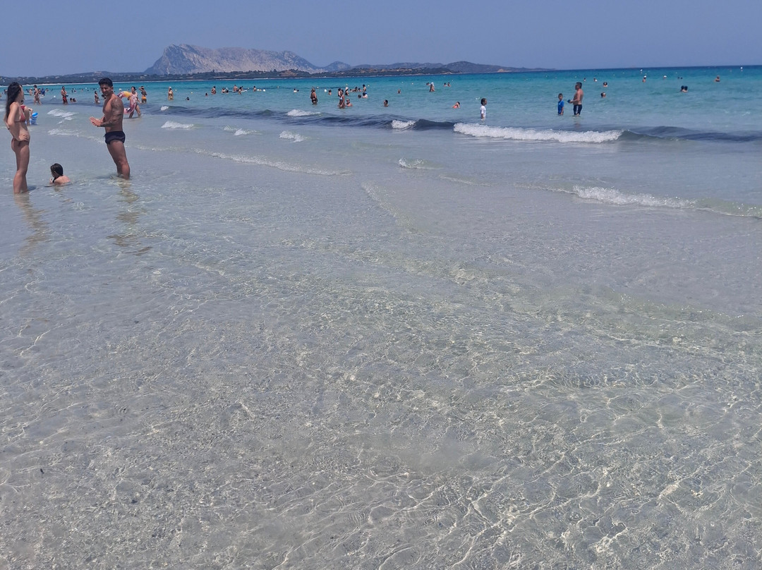 Spiaggia La Cinta-San Teodoro必去景点