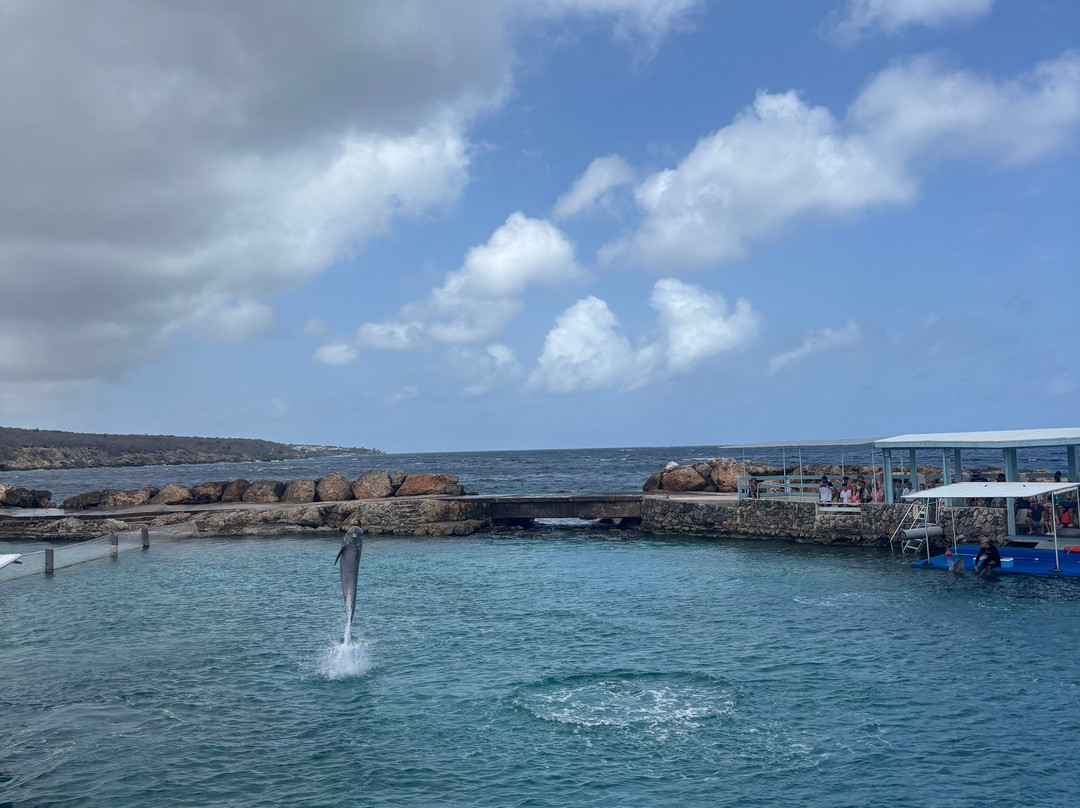 Curaçao Sea Aquarium-威廉斯塔德必去景点