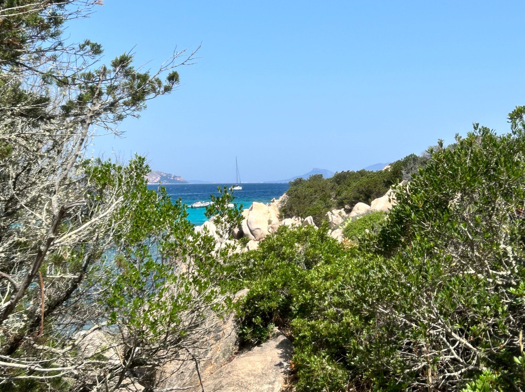 Spiaggia della Tartaruga-San Teodoro必去景点