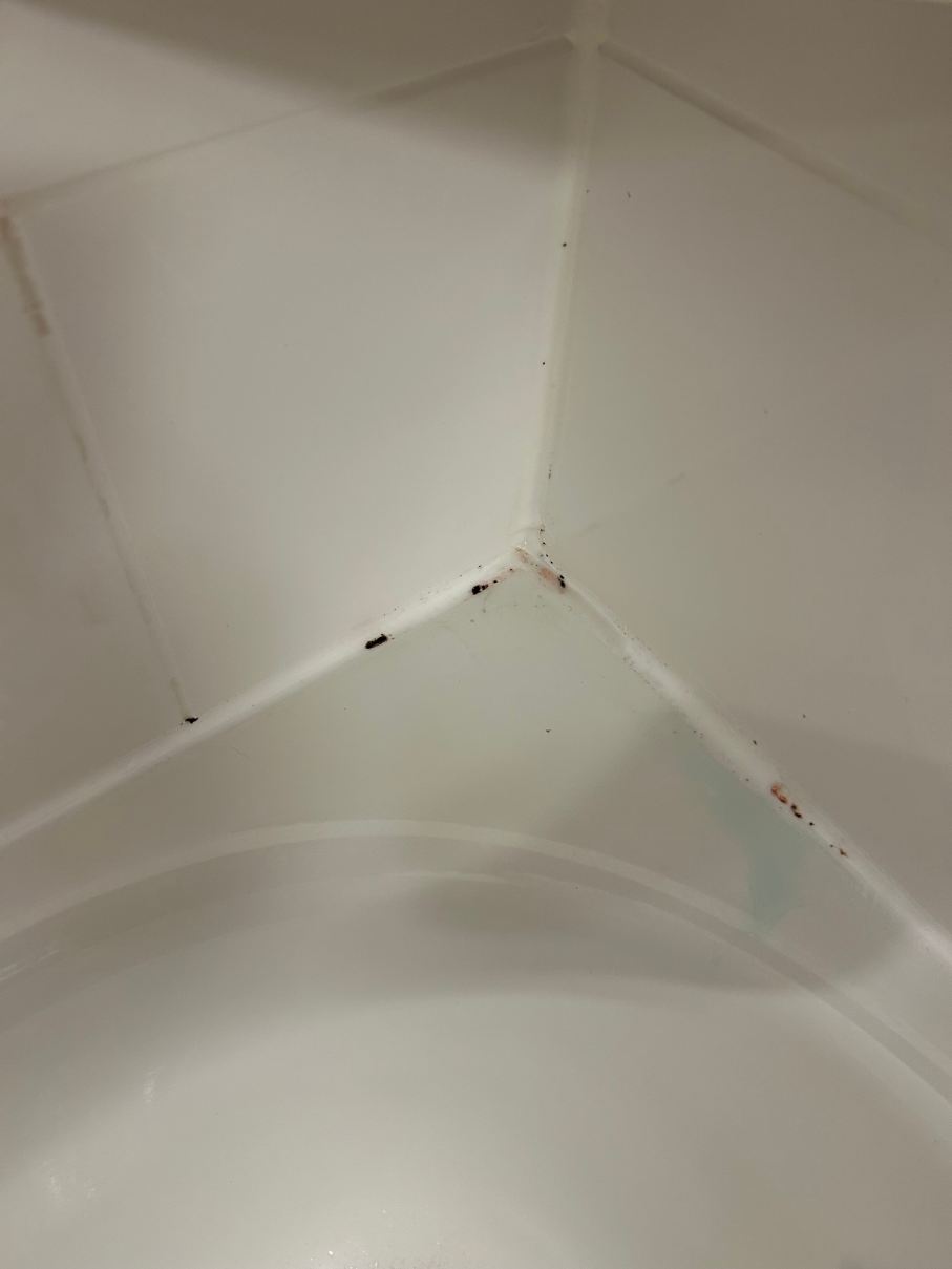 西北丹弗威斯敏斯特欢朋酒店-旅行者