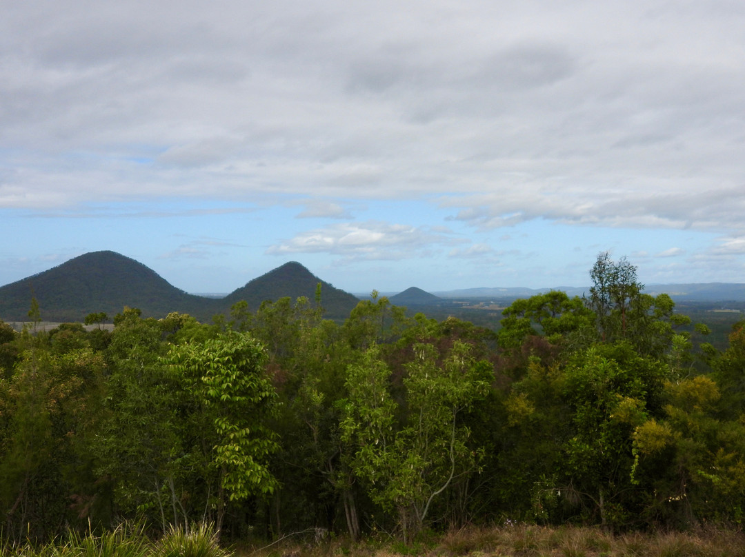 Bos Tours Queensland-Mount Tamborine必去景点