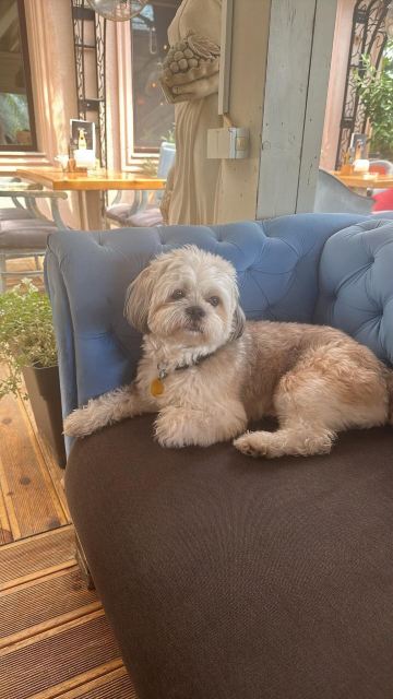 康迪酒店-旅行者