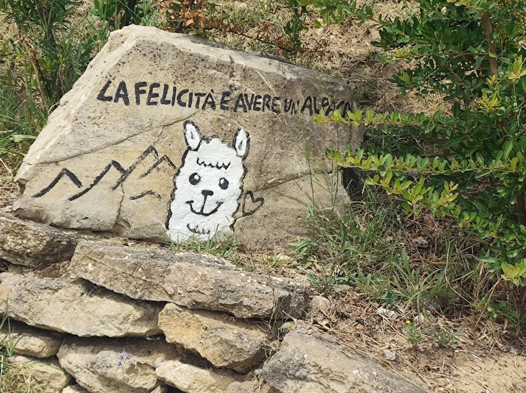 Basilicata Alpaca-Acerenza必去景点