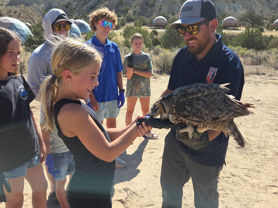 Bryce Canyon Falconry-Cannonville必去景点