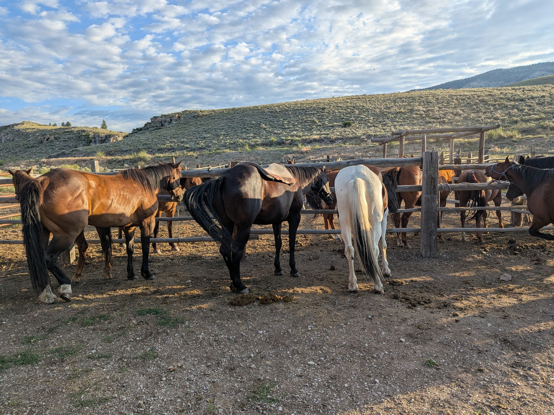 Silver Spur Ranch Idaho