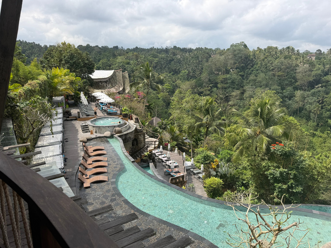 Wanna Jungle Pool and Bar-佩艳艮必去景点