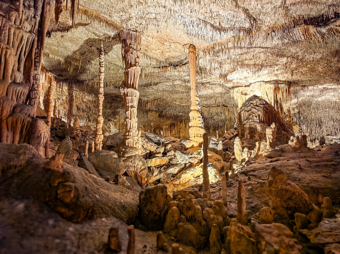 Cuevas del Drach-克里斯托港必去景点