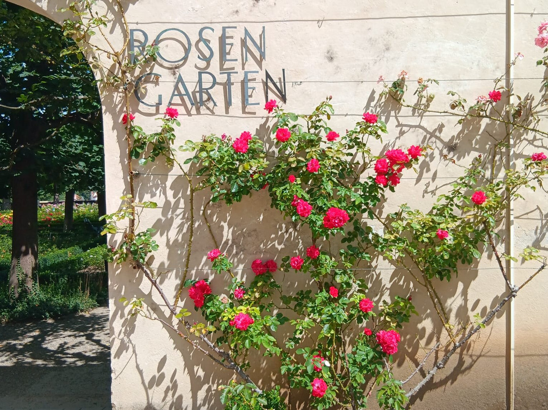 Rose garden-班贝格城必去景点