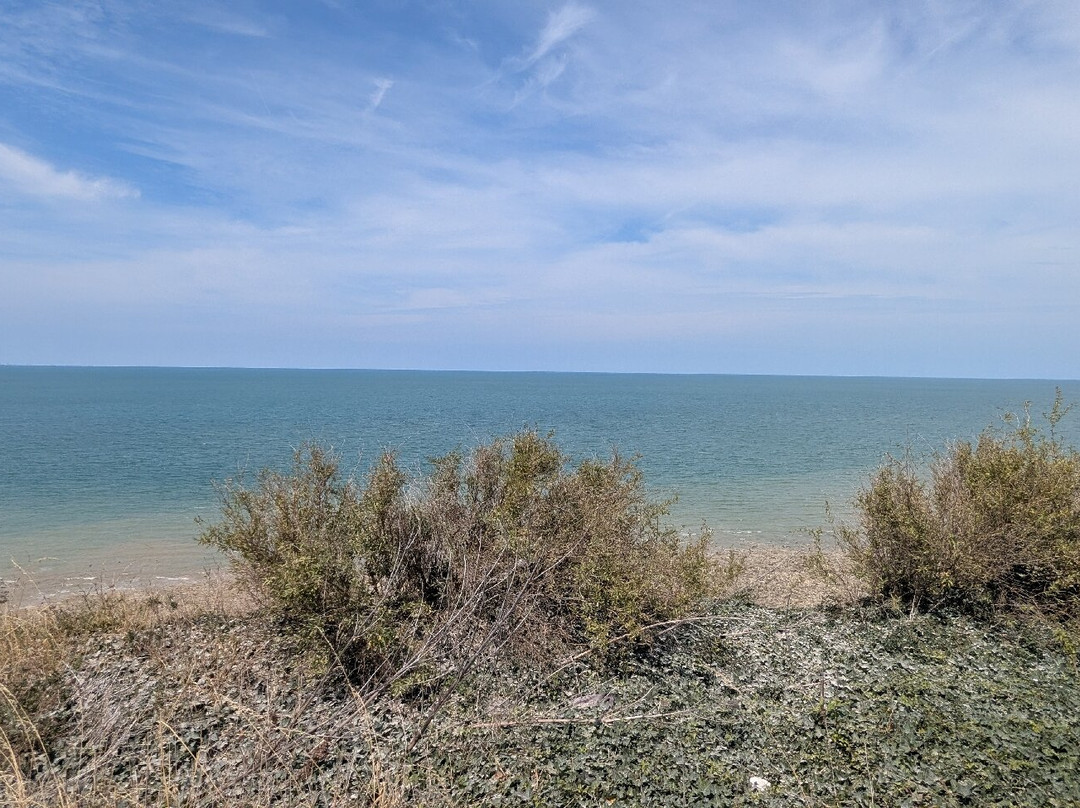 Table d'orientation du Hautebut t on-Ault必去景点