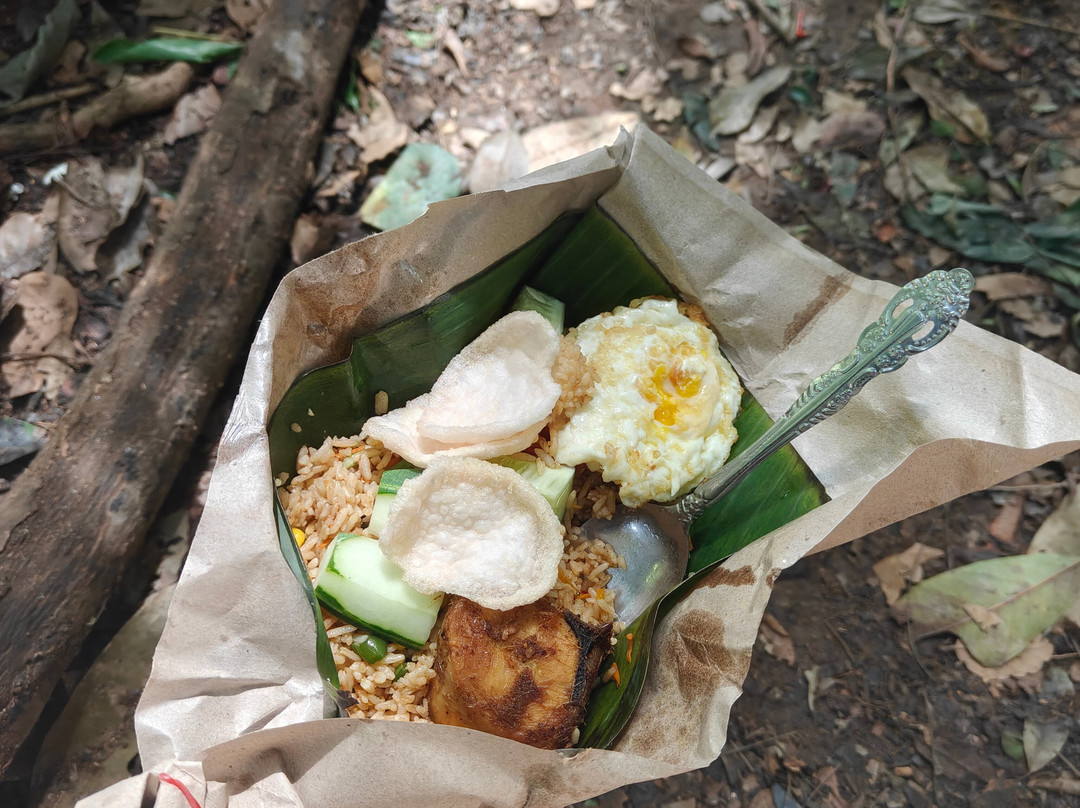 Bukit Lawang Travel-武吉拉旺必去景点