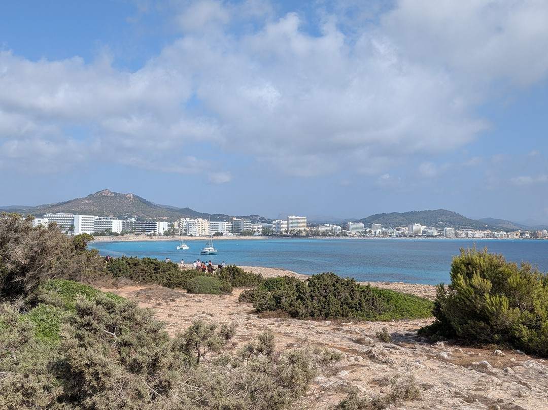 Punta de n'Amer-萨可马必去景点