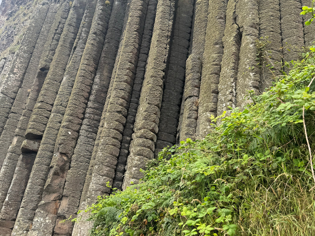 Love Irish Tours-都柏林必去景点