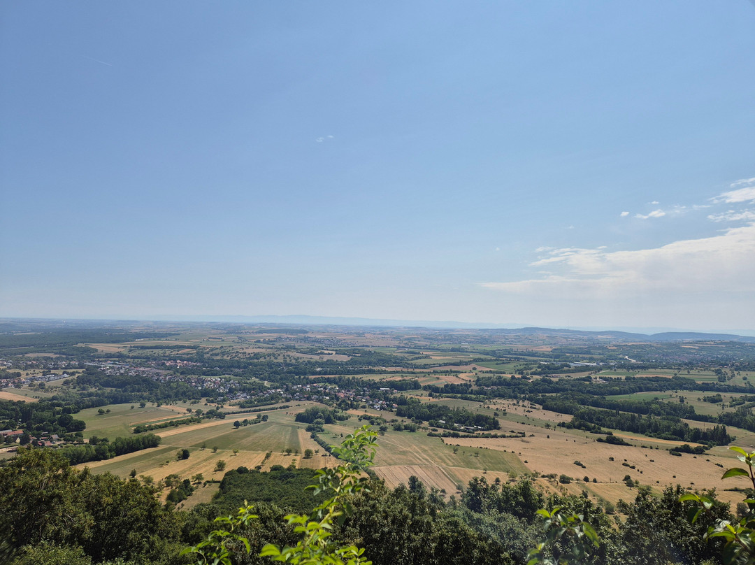 Chateau du Haut-Barr-Saverne必去景点