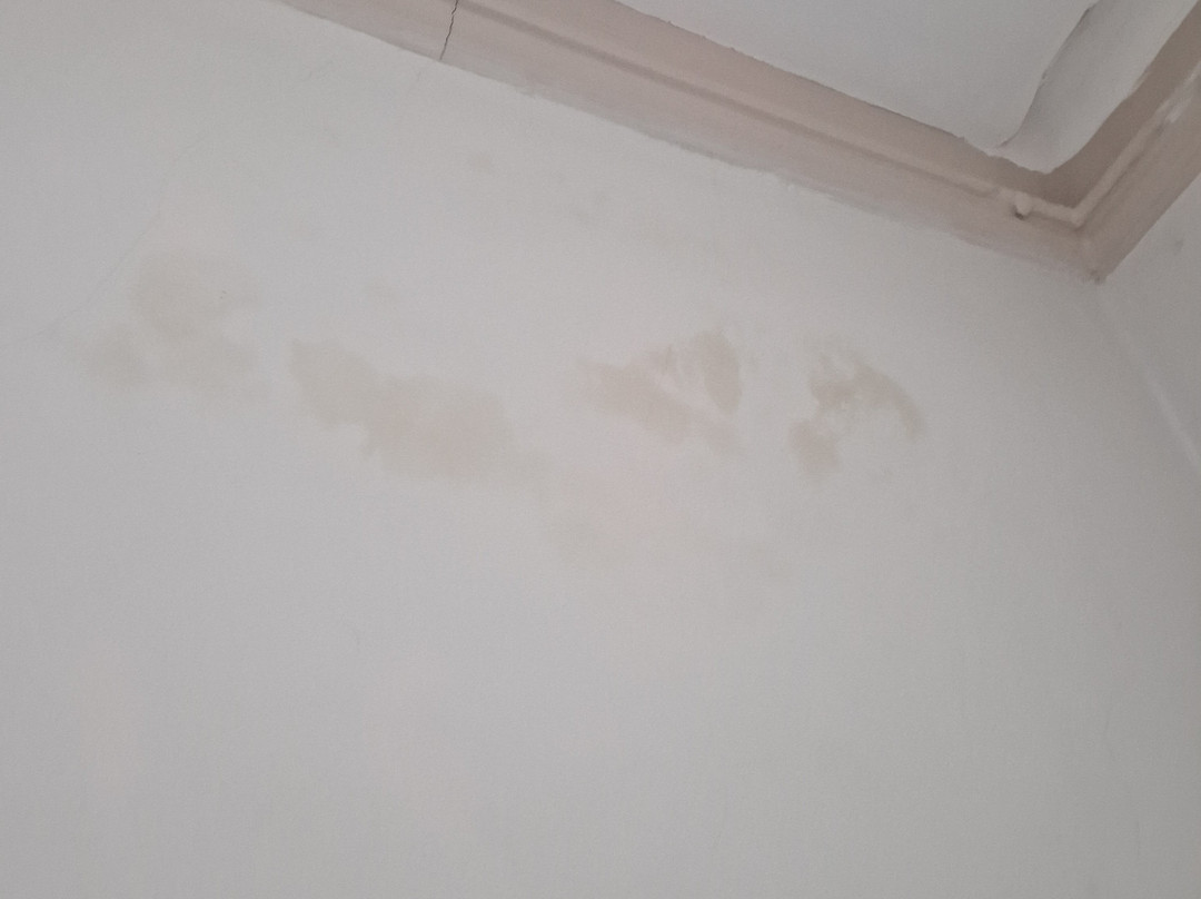 奥斯尼旅馆主图