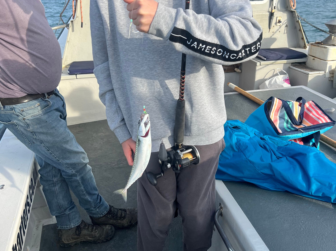 Sussex Sea Charters-West Itchenor必去景点