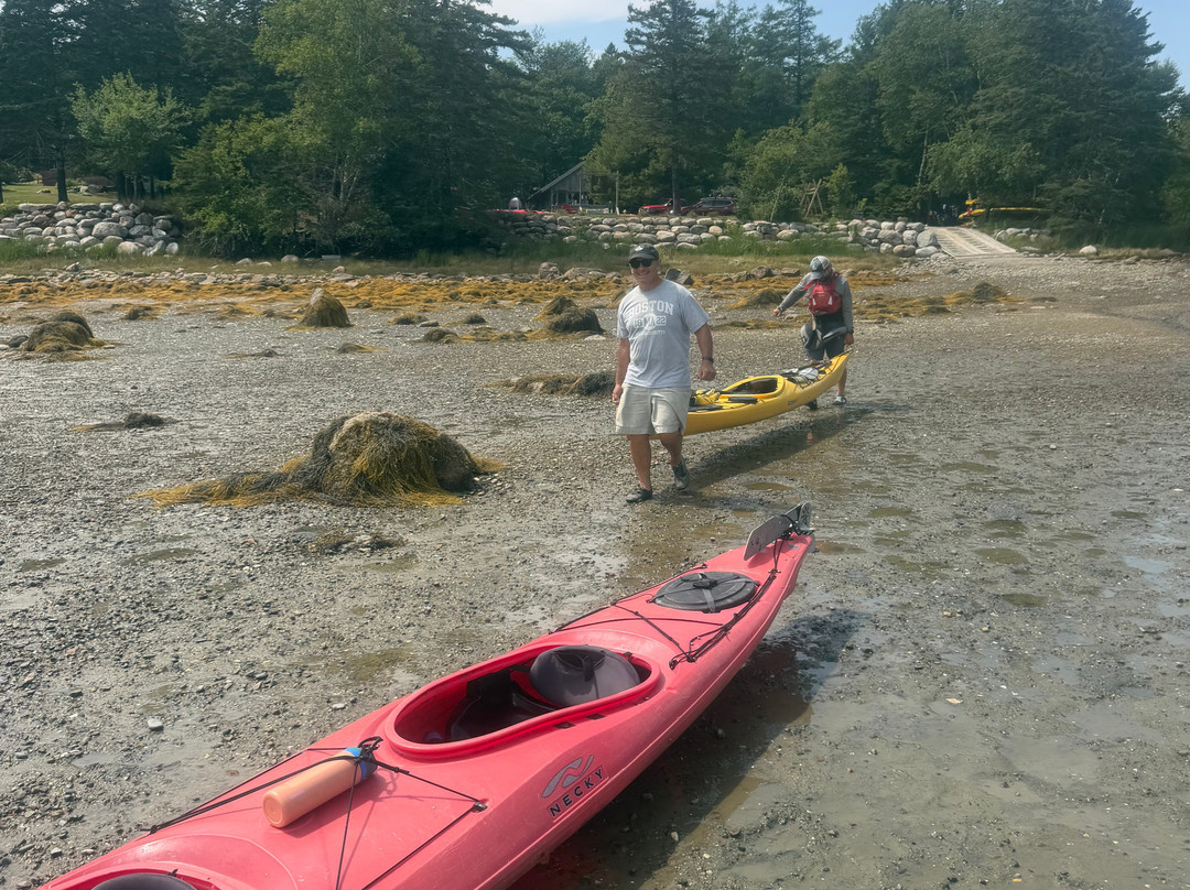 Osprey's Echo Sea Kayaking-Stonington必去景点