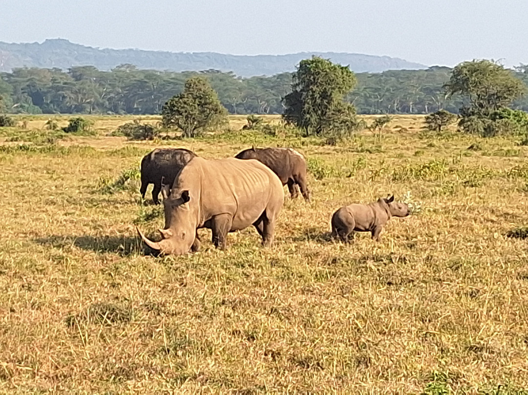 Shanjoy Tours and Safaris-Kikuyu必去景点