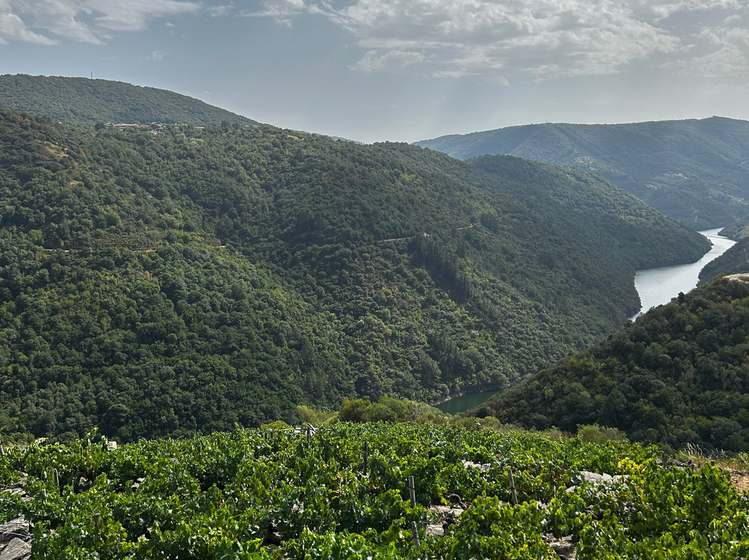 Cañón Del Sil - Ribeira Sacra-奥伦塞省必去景点