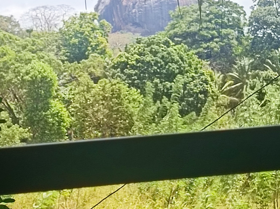Private Tour Drivers Srilanka-卡图纳耶克必去景点