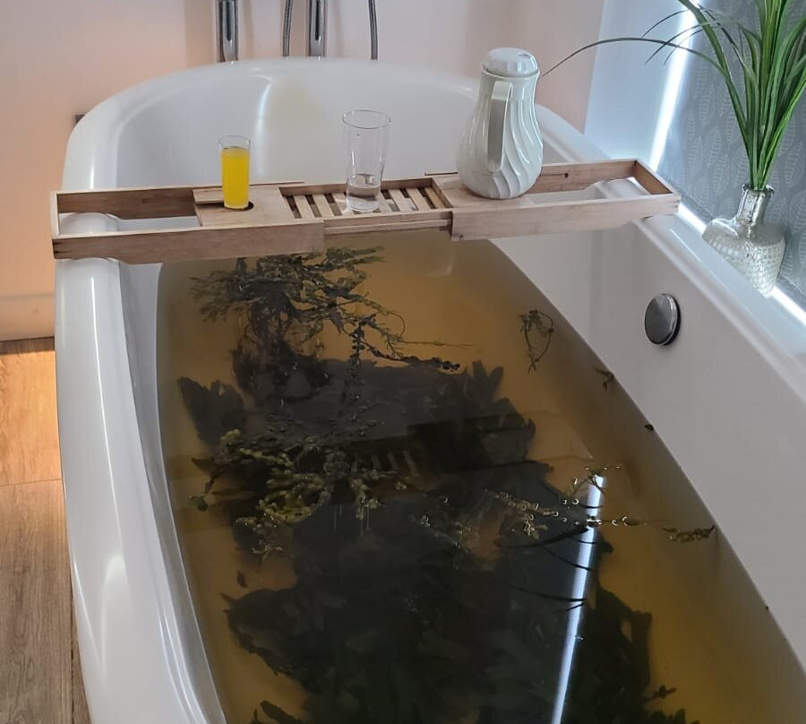 The Seaweed Centre-Lettermullan必去景点