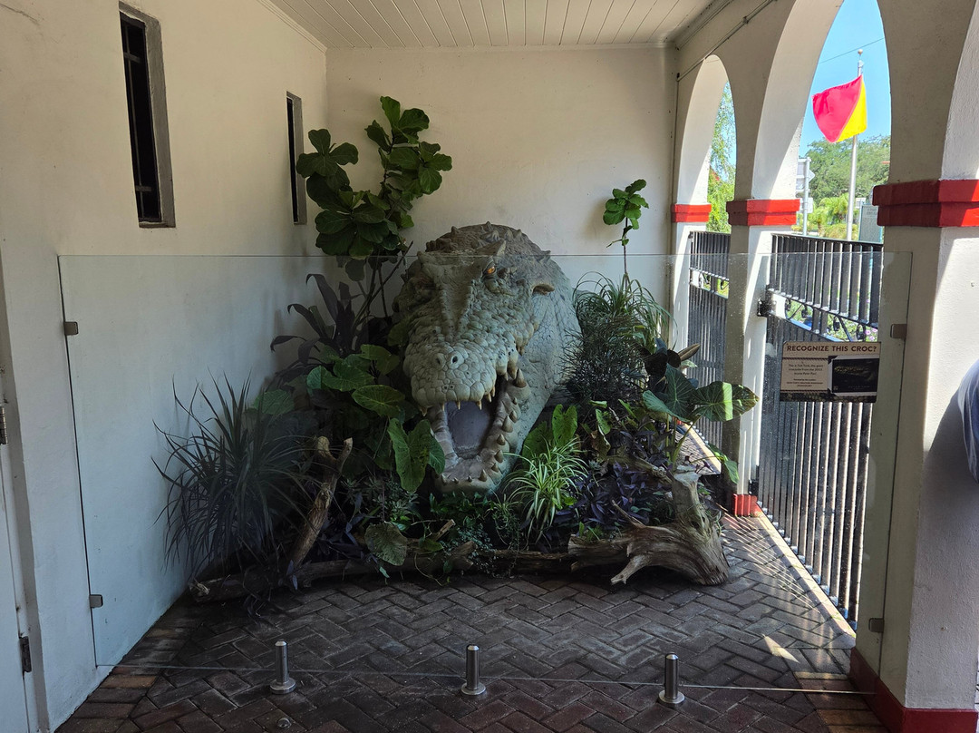 St. Augustine Alligator Farm Zoological Park-圣奥古斯丁必去景点